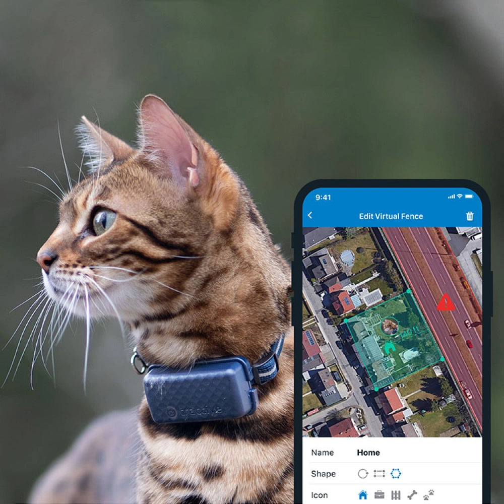 GPS-halsband för katt