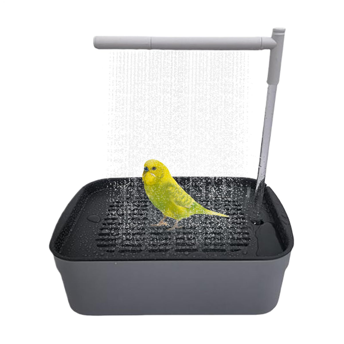 Fågelbad med dusch