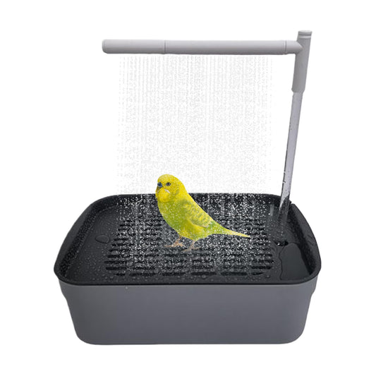 Fågelbad med dusch