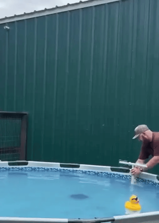AquaFlow Poolfontän Vattenspridare för Pool och Trädgård